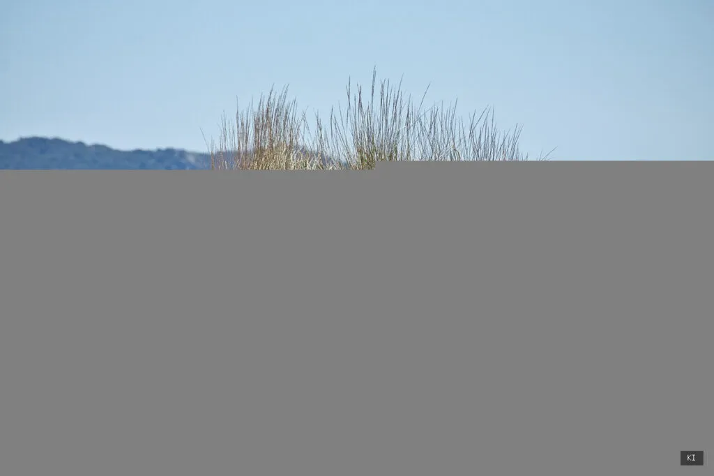 Thematisch passendes Bild zu Sardinien Urlaub Tipps - Abschnitt 3